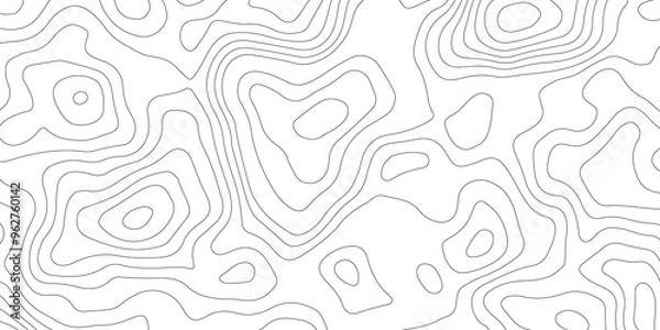 Fototapeta White topography topology vector white background fresh contour map texture backdrop digital print texture terrain lines and strokes on a fresh white 