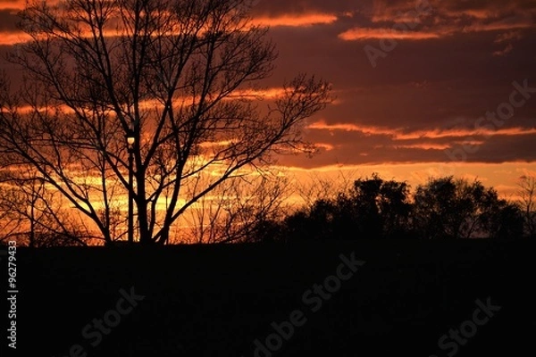 Fototapeta Sunset setting behind fall trees