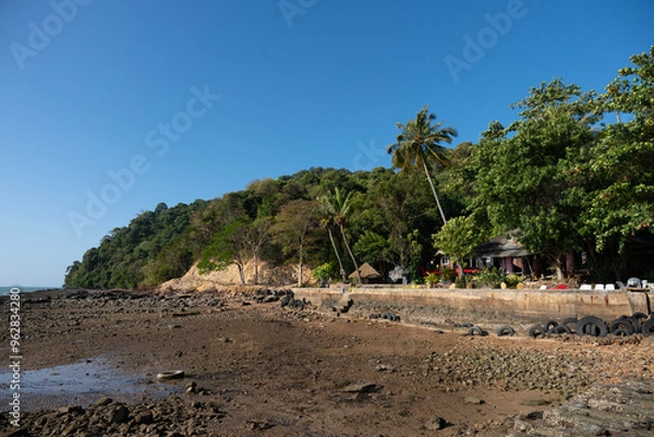 Fototapeta beach with palm trees