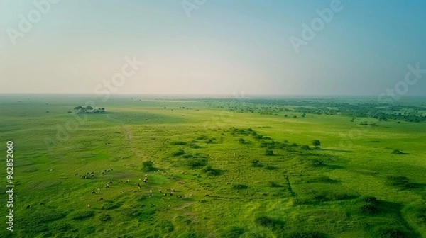 Fototapeta Aerial View of Serene Grassland with Lush Vegetation