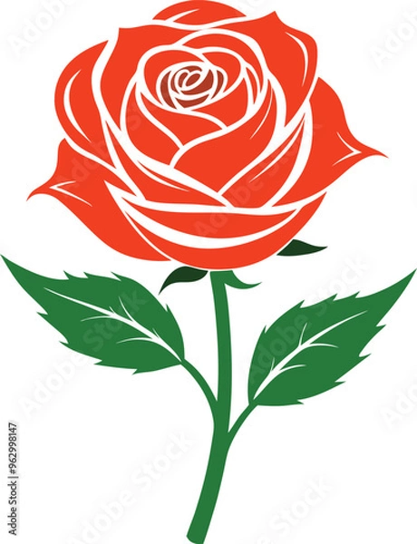 Obraz Rose flower vector isolate