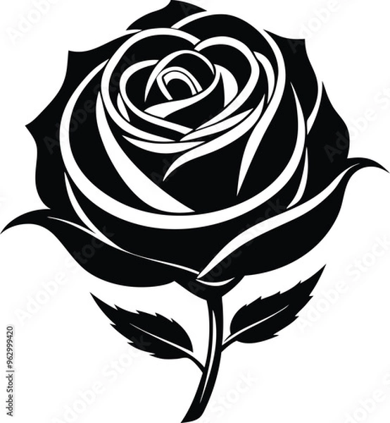 Obraz Rose flower vector isolate