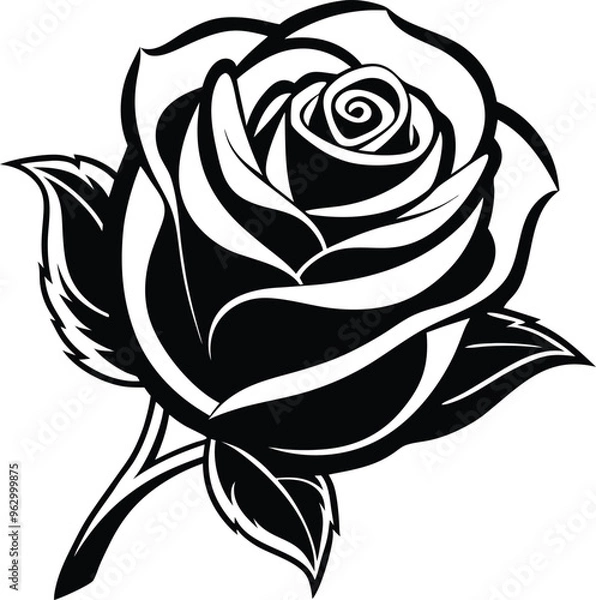 Obraz Rose flower vector isolate