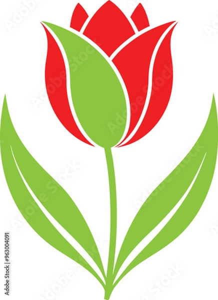 Obraz tulip flower vector isolate