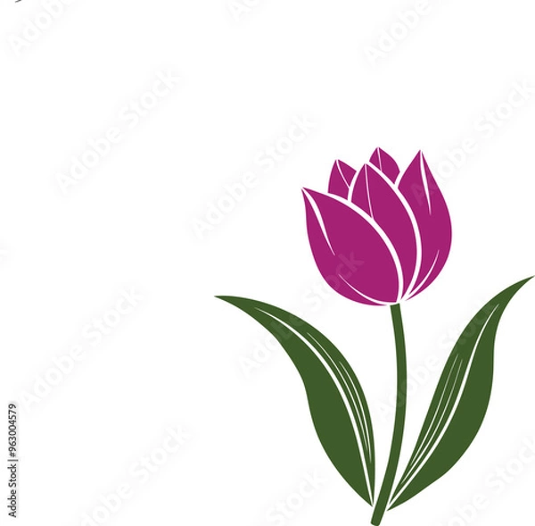 Obraz tulip flower vector isolate