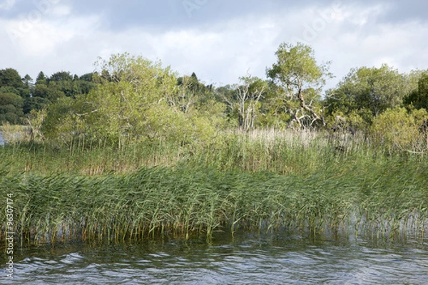 Fototapeta Lough Leane Lake, Killarney National Park