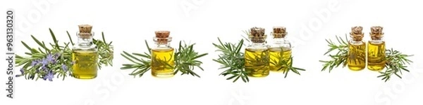Fototapeta Set of rosemary essential oil with a bottle, cutout