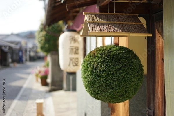 Obraz 京都 亀岡市　杉玉