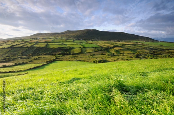 Obraz The green hill