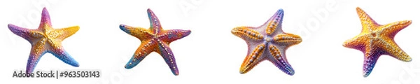 Fototapeta Set, collection of A tropical starfish in vibrant colors isolated on transparent background.