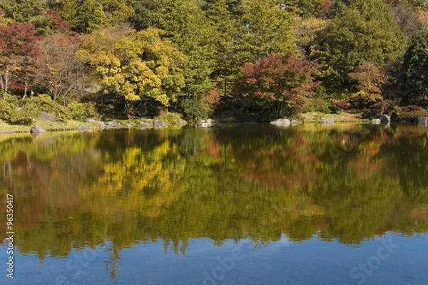 Obraz 紅葉を映す池