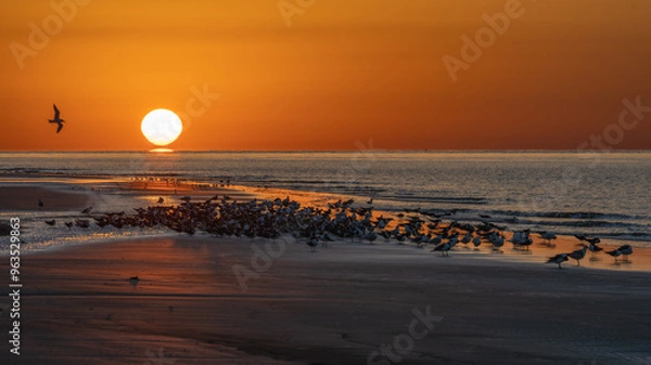 Obraz sunset on the beach