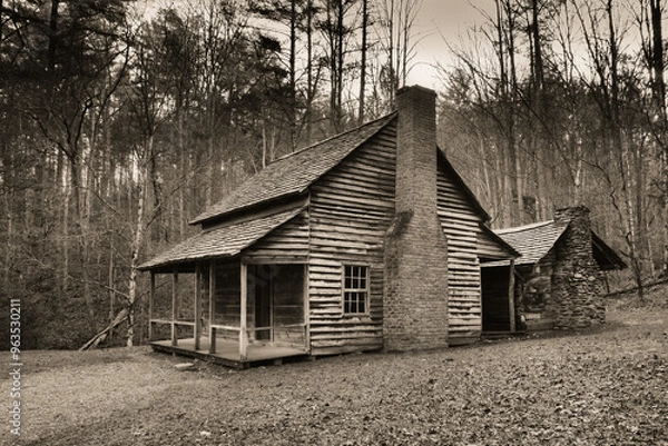 Obraz Log Cabin