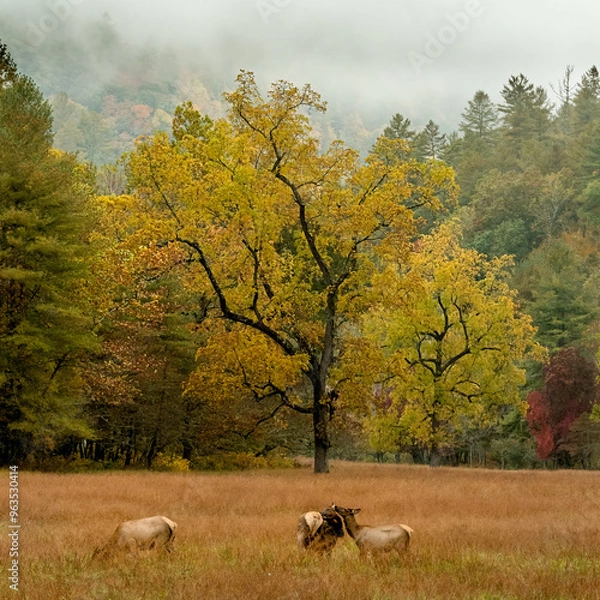 Obraz Early Breakfast 