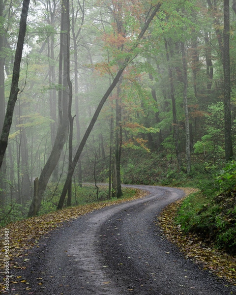 Obraz Roadway into mist