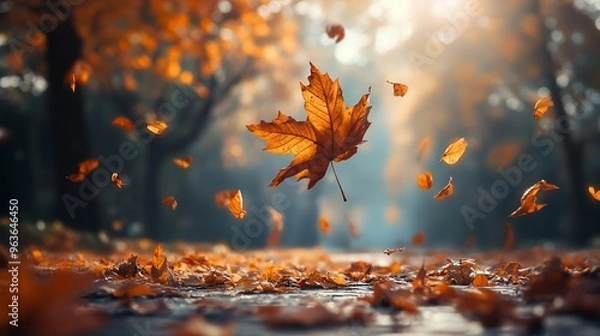 Fototapeta first day of fall concept 