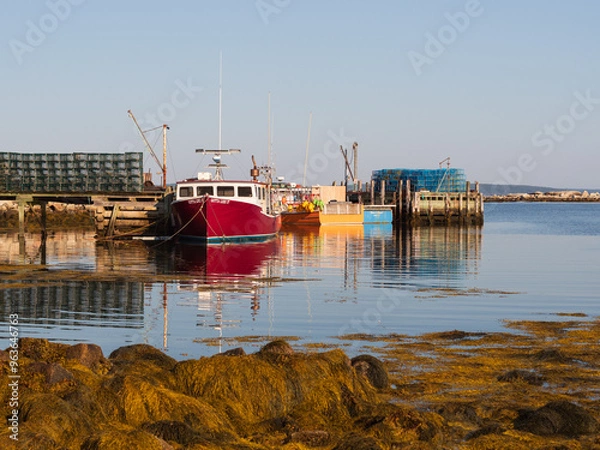 Fototapeta Fishing boats in vibrant colors, adorned with lobster traps, are docked in the calm, clear waters, while a pile of seaweed rests near the shore. This tranquil fishing wharf in Indian Harbour, Nova Sco