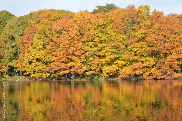 Obraz Autumn colors water reflection