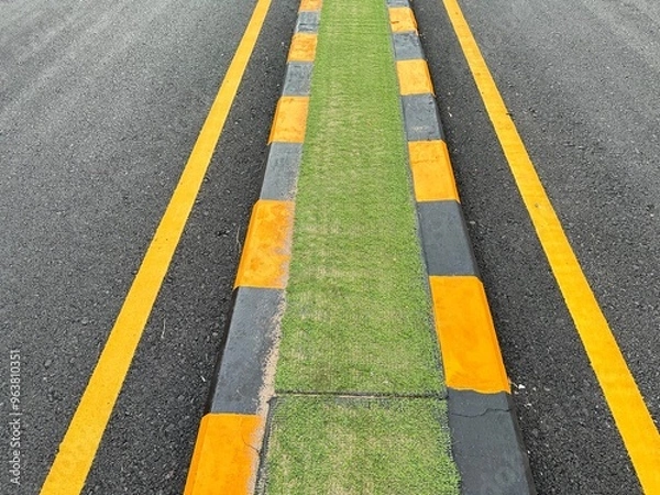 Obraz Middle of the road