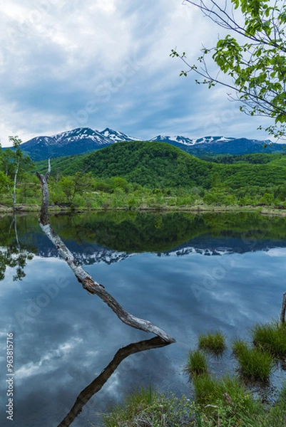 Obraz 日本　長野県松本市安曇の乗鞍高原　まいめの池に鏡面上に映る乗鞍岳