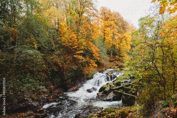 Fototapeta Waterfall on an Autumn day in Tumwater Park Washington