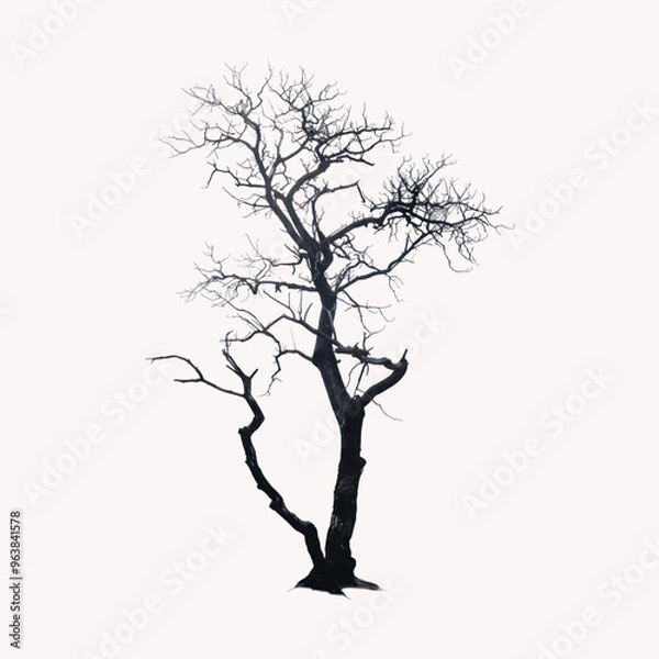 Fototapeta rawpixeloffice3_dead_tree_silhouette_clip_art_isolated_on_white_9f294a1d-f76b-4ccc-9489-9e2e15974293-p