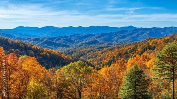 Fototapeta Autumnal Foliage and Blue Mountains in Smoky Mountains National Park