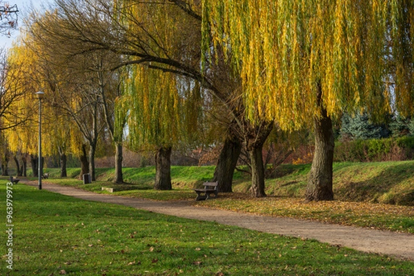 Obraz Miejski park jesienią