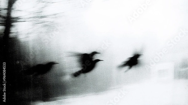 Obraz Blurry abstract flying birds in motion with monochromatic background