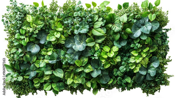 Obraz Green wall of various plants, perfect for creating a natural and relaxing atmosphere. The lush foliage provides a visual escape from the hustle and bustle of city life.