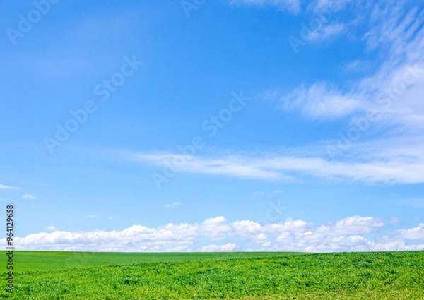 Obraz 晴れた空と芝生のイメージ背景