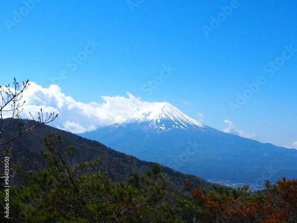 Obraz 本社カ丸から見た富士山
