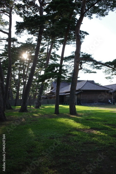 Fototapeta 函館奉行書、木漏れ日が差し込む