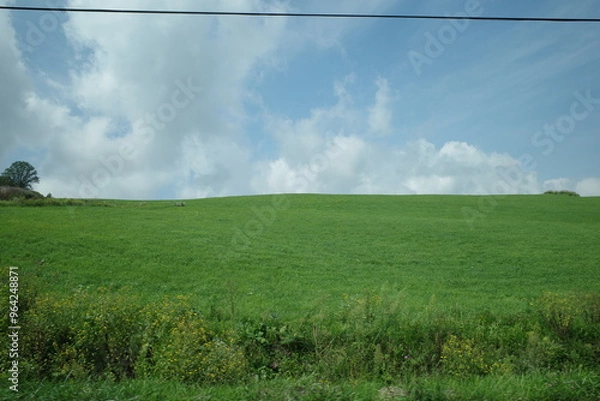Fototapeta 夏の北海道、リアルな壁紙