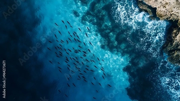 Fototapeta Mesmerizing Aerial Perspective of Undulating School of Fish in Turquoise Ocean