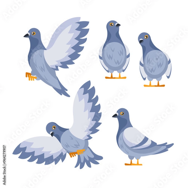 Fototapeta Set of pigeons standing and flying with spread wings