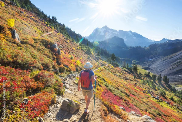 Fototapeta Mt Baker  Area