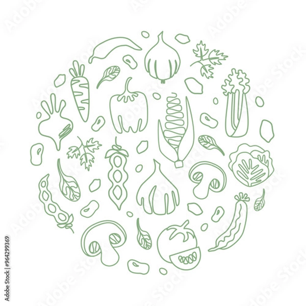 Obraz Vector hand drawn vegetables round shape form. Can be used for cards, books, packaging or advertising. Background. Line vegetables. Green line icons