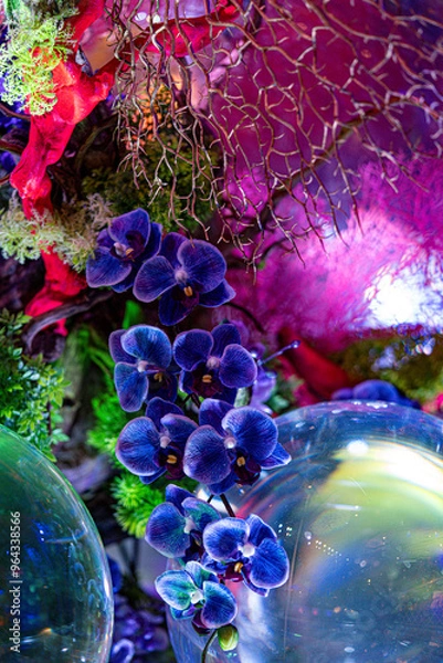 Obraz 水晶玉に写る紫陽花