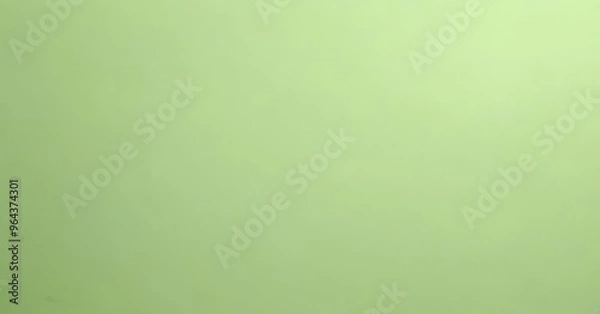 Fototapeta A simple, unadorned image of a solid green background, with no discernible text or objects.