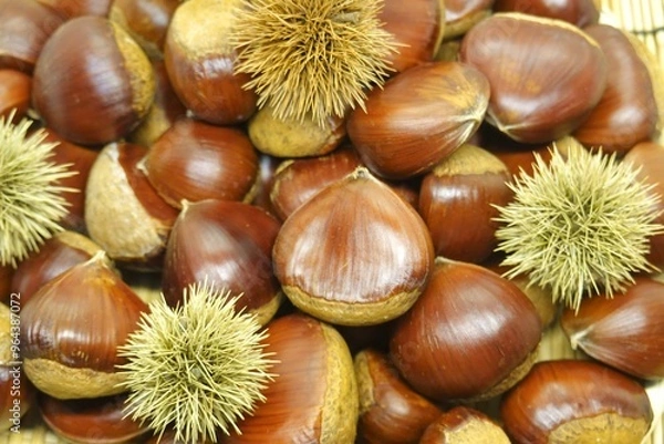 Fototapeta 山盛りの美味しそうな栗