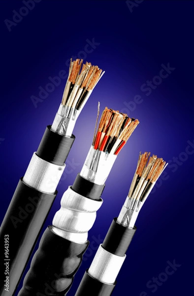 Obraz Copper Wire