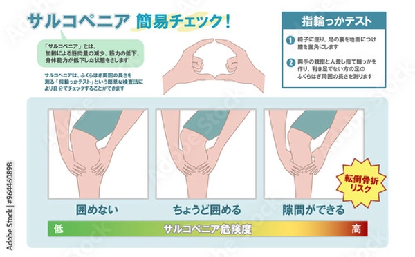 Fototapeta ふくらはぎの周囲を指で測る、サルコペニアの簡易チェック方法のイラストセット