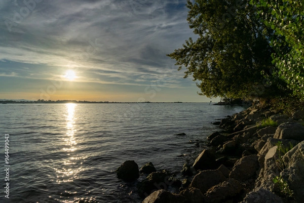 Fototapeta sunset over lake constance ( Bodensee )  with a tree and coastline with blue sky and clouds but clear sight in hard, vorarlberg, Austria