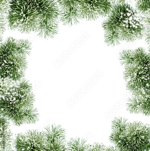 Obraz Winter Forest. Winter landscape.