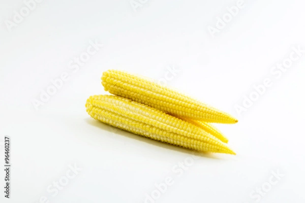 Obraz corn