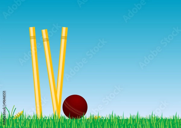 Obraz Cricket Ball in the Grass 2b