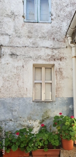 Obraz window with flowers