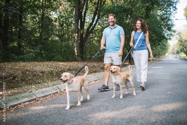 Fototapeta Mature couple enjoys a relaxed walk through the park, guiding their dogs on leashes
