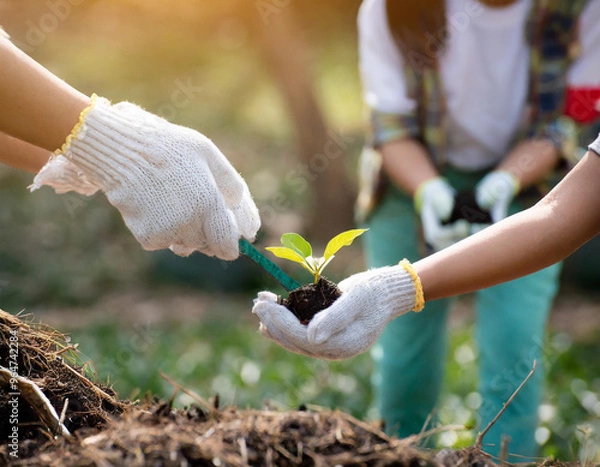 Obraz Sadzenie drzew